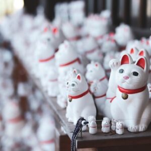 Japanese Style Tea Set